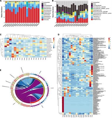 Remodeling of the microbiota improves the environmental adaptability and disease resistance in Tibetan pigs